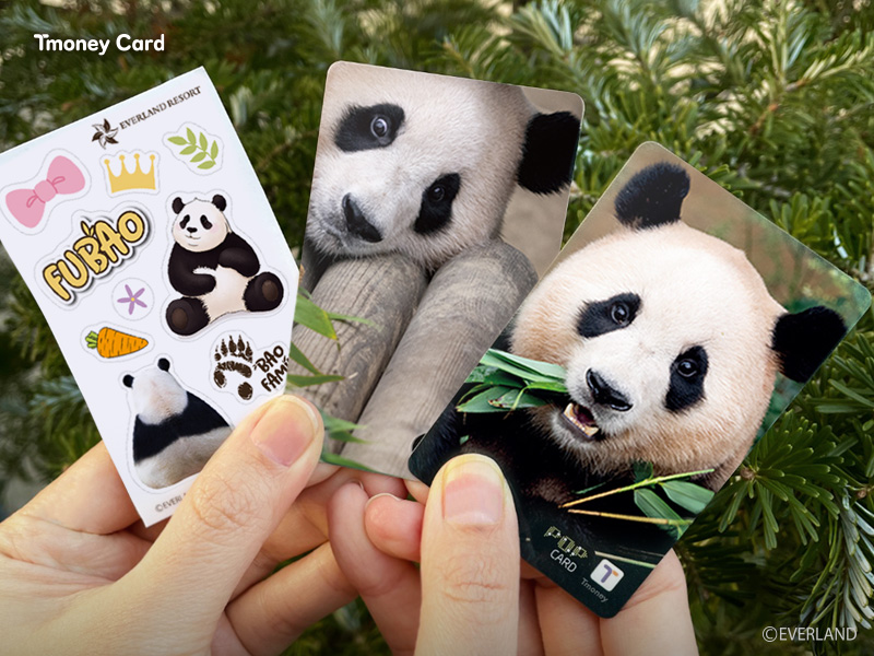 Tmoney Card. FUBAO. POP CARD. ⓒEVERLAND