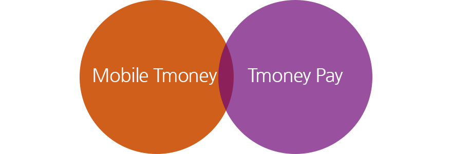 Mobile Tmoney, Tmoney Pay