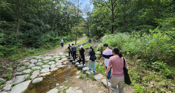 운수종사자 힐링프로그램 활동 사진
